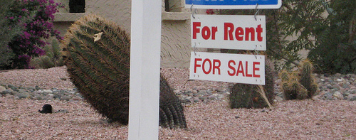 The Horrors Of Renting or The Terrors Of Selling - Which Do You Prefer?