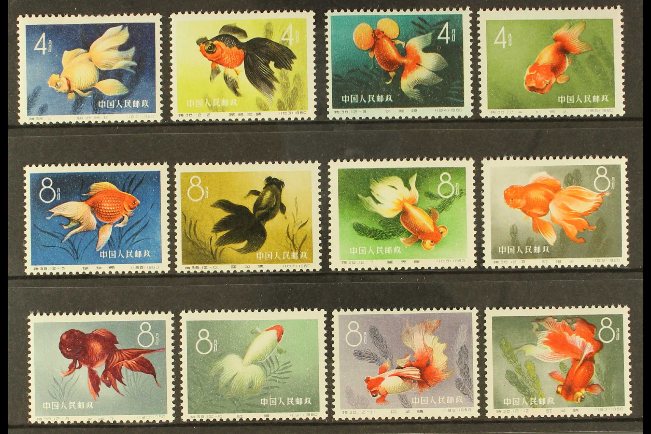 Fabulous Philately Collections And Young Beginnings