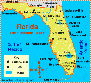 Your Guide To Moving To Florida