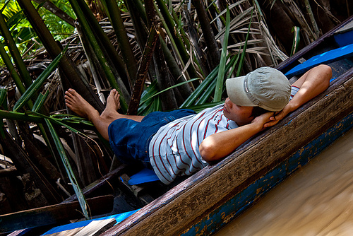 Delve Into The Mekong Delta