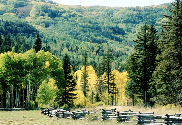 Fishing Lodges V Eco Lodges For Vacation