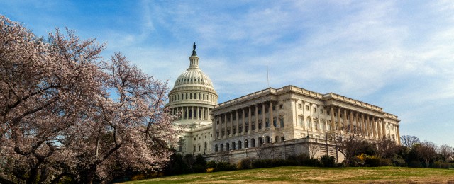 How To Voice Your Opinion To An Elected Official