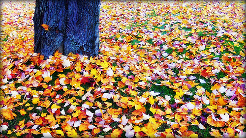 Some Big Interior Design Trends For Autumn 2013