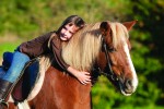 Horse Ownership - Things To Think About