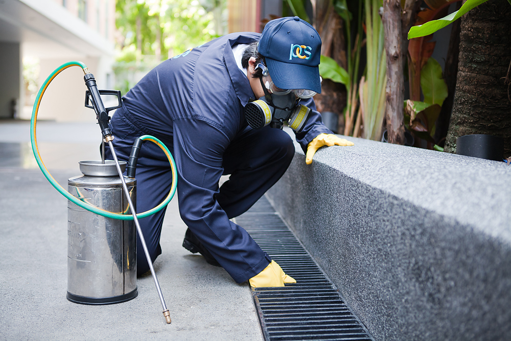 The Importance Of Professional Pest Control Services