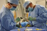 How To Prepare For Bone Marrow Transplant?