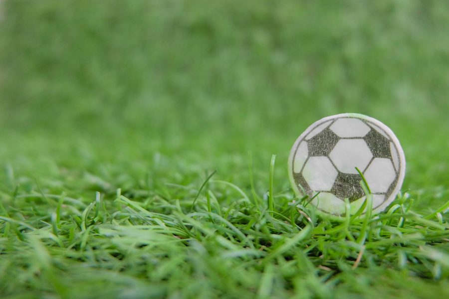 Remarkable And Excellent Quality Artificial Grass In Suffolk