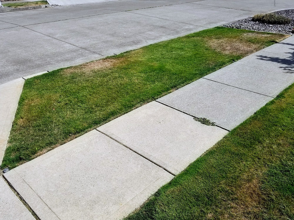 Knowing In Details The Operational Procedures Of EZ Flo Fertilizing Systems